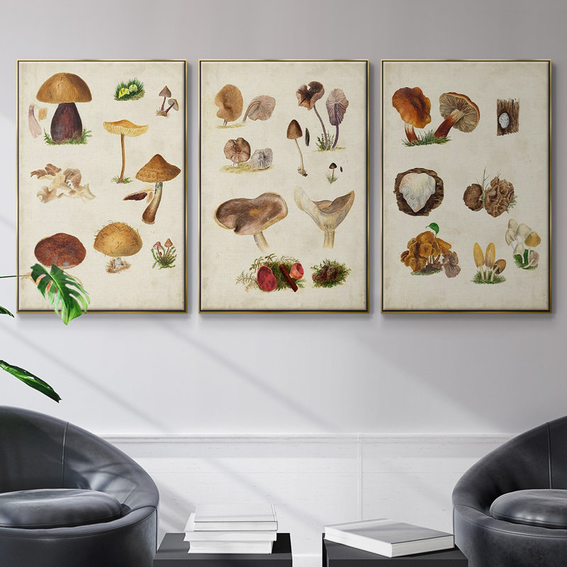 " Mushroom Species I " 3 - Pieces, Or, H 36 po x l 72 po x P 2 po