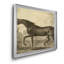 Distinguished Horses IV - reproduction d'art sur toile encadrée-1946686337-1946686341