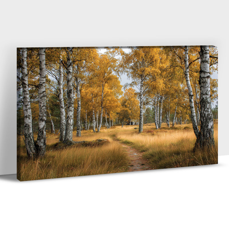 Art mural Birch Tree - Nature sur toile de peuplier faux-tremble pour salon, forêt, paysage, décoration murale pour chambre à coucher, reproduction sur toile tendue avec cadre en pin, 12 po x 18 po