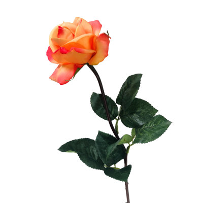 Arrangement floral de roses
