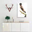 Rose Ouzel Bird by George Shaw - Wrapped Canvas-55329805
