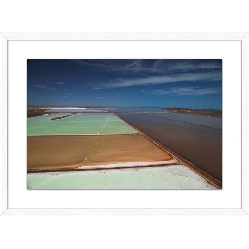 Salted Overlaying 2 Print by Thom Filicia