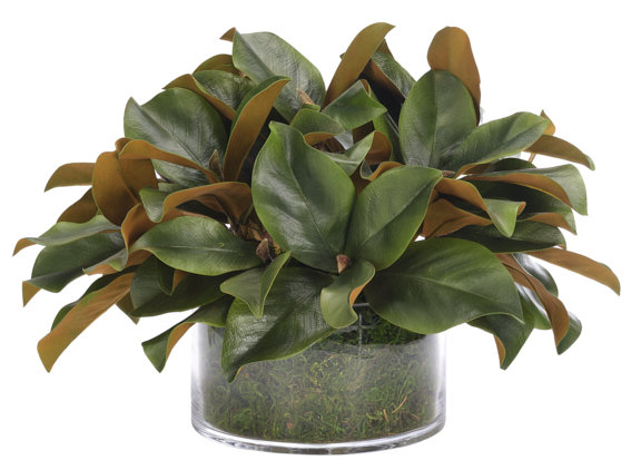 Magnolia Foliage, Moss Glass Bowl, 21wx19dx14h