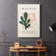 Matisse CECLI, reproduction d'art encadrée - Cavas-1132172876