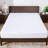 Kallie Waterproof Fitted Mattress Protector Mattress Protector Case Pack-696764543