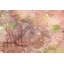 Parvez Taj - Wrapped Canvas Print-16673531