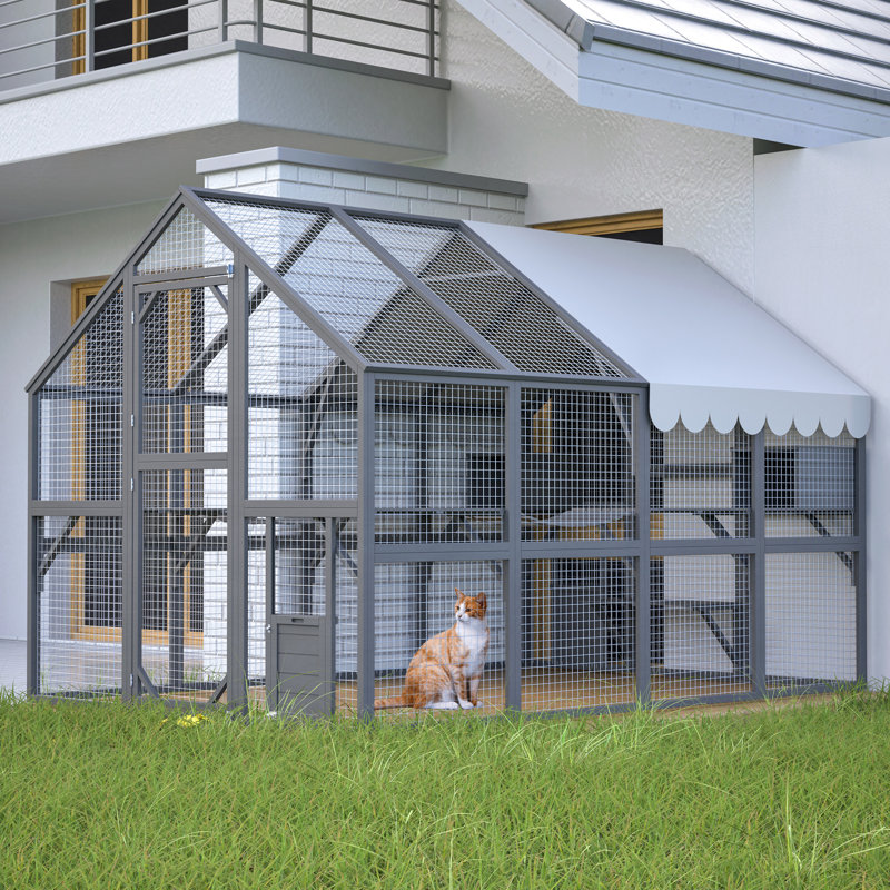 Enclos de luxe pour chat avec 2 cabanes de détente et de très grandes aires de repos pour les chats