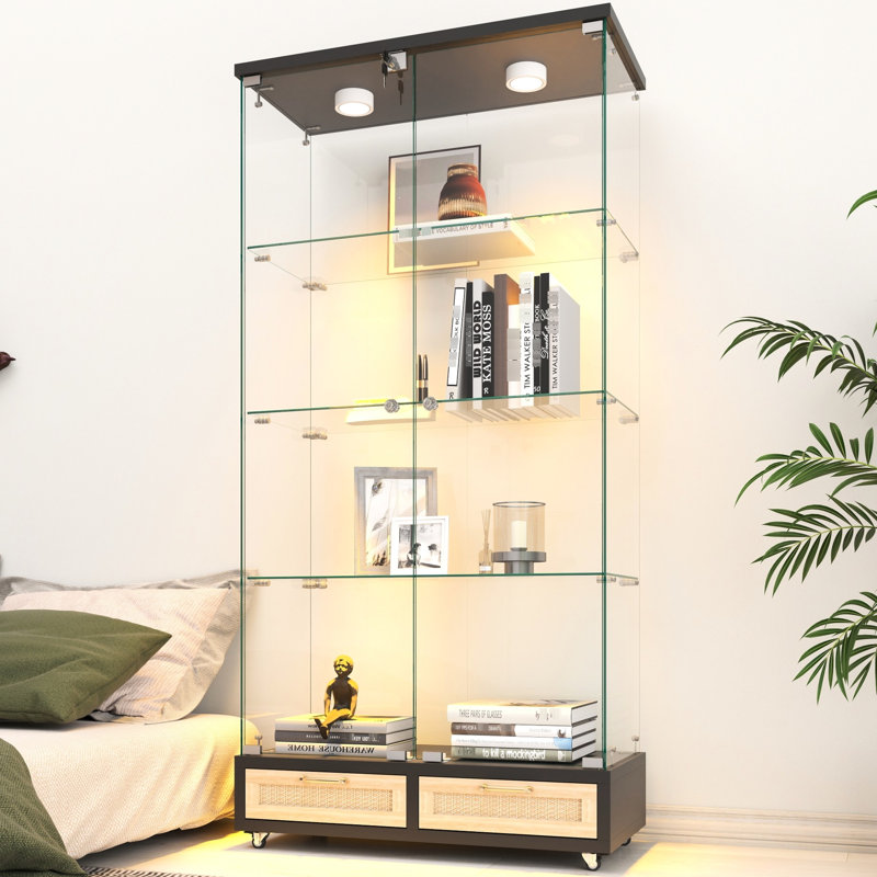 Étui de rangement à 2 portes et 4 tablettes, présentoir en verre moderne avec lumières DEL, noir et naturel, assemblage rapide, peu encombrant pour la cuisine