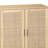Carlyne Accent Cabinet-1710030069