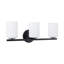 Ezra 22-in Black dimmable Bathroom Vanity Light