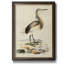 Antique Heron I, toile encadrée de qualité supérieure - prête à être accrochée-1985658533