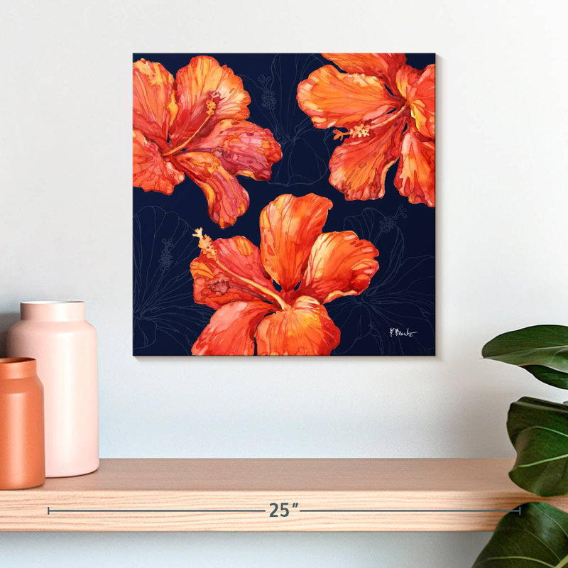 Hibiscus Harnek Hilo, H 16 po x l 16 po