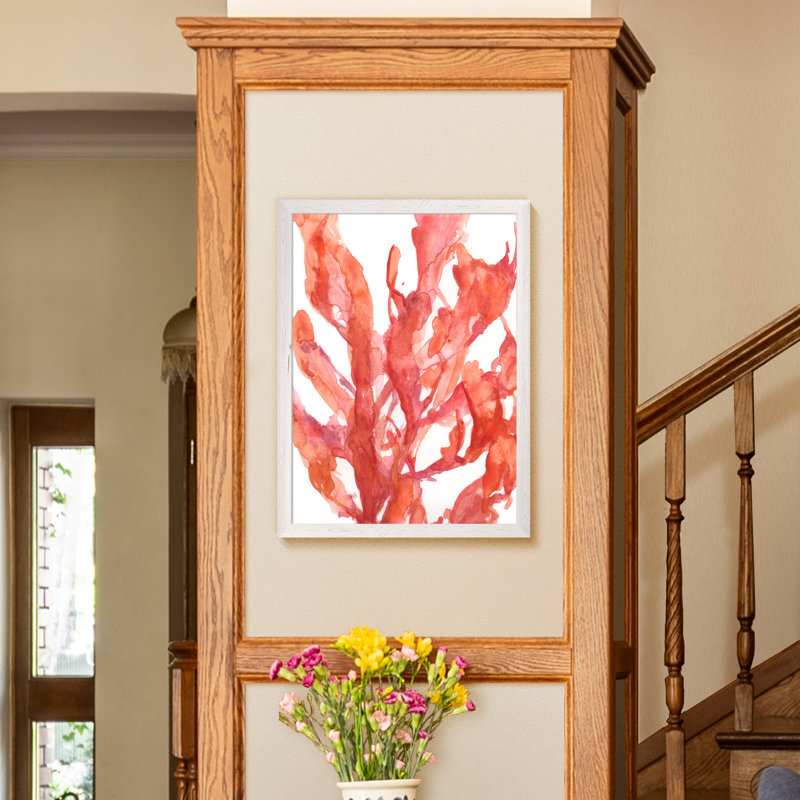 "coral kelp i" par paul cezanne-reproduction d’art sur toile encadrée, H 28 po x l 38 po x 1,25 po, Toile blanche encadrée