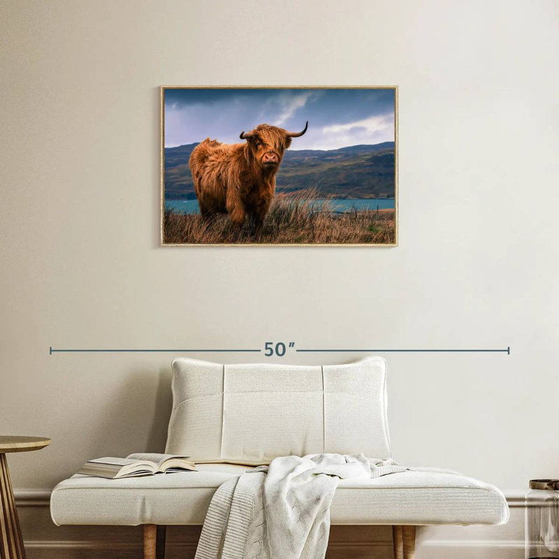 Grande vache Highland, Cadre flottant en bois naturel, 31 po x 21 po