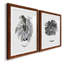 B&W d'intérieur plante I - ensemble de 2 reproductions de dessins-728781680-728781688