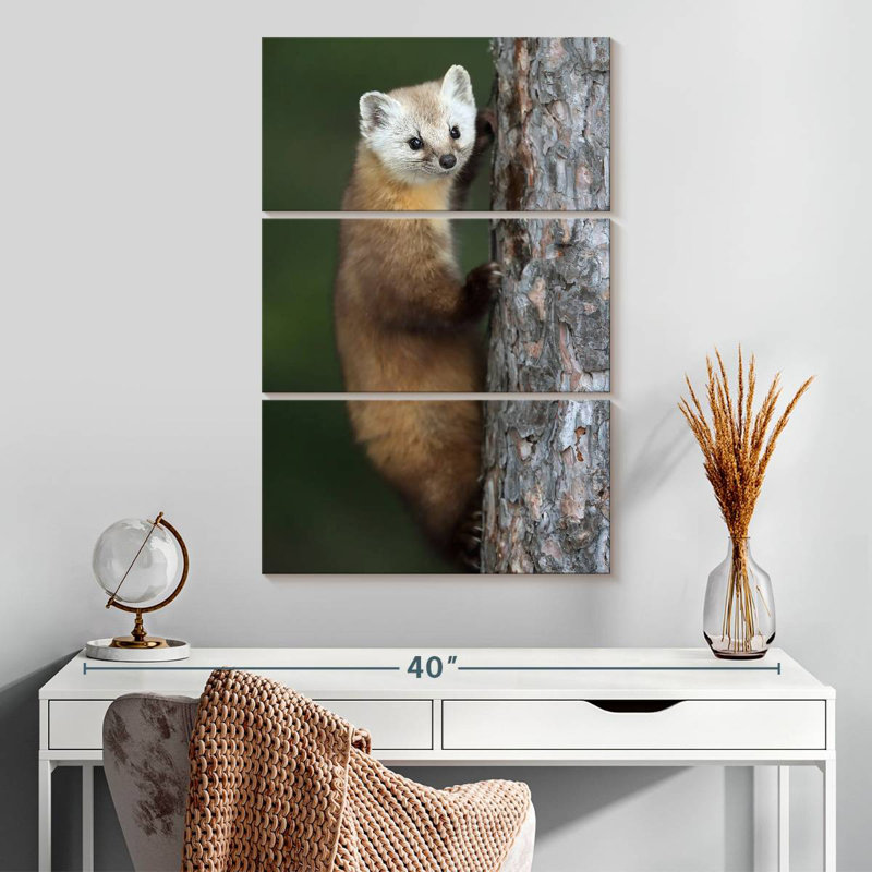 Brampt Wild American Marten, 32" H x 20" W