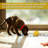 Hybrid Feeder/Toy