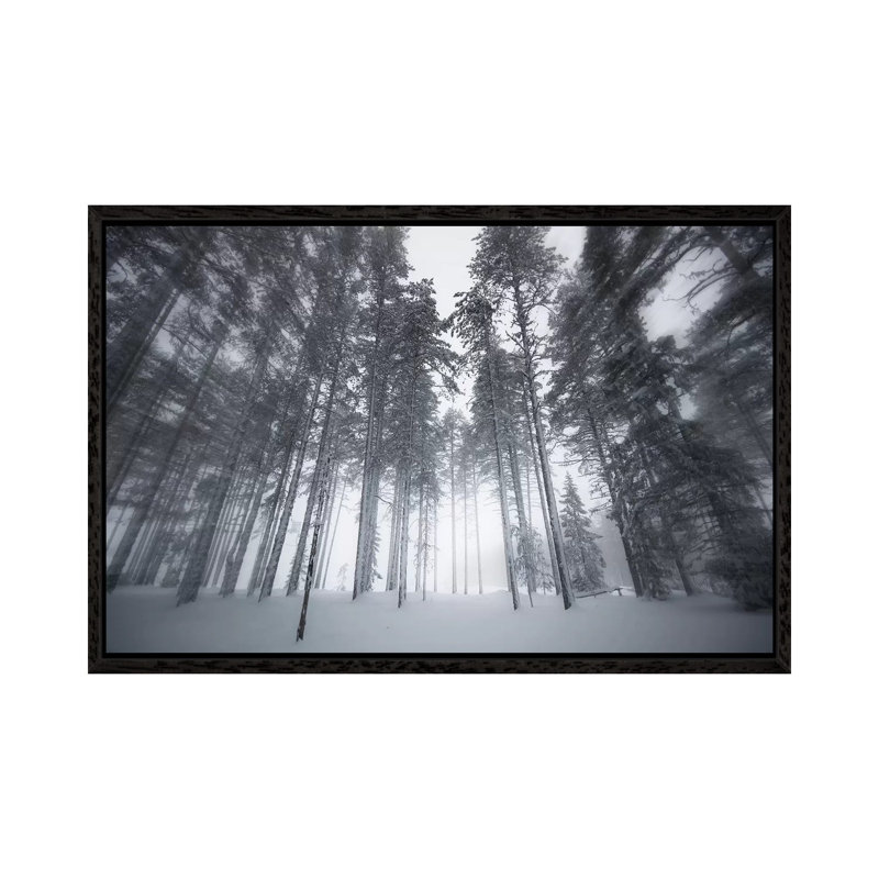 Winter Light by Andreas Stridsberg - Gallery-Wrapped Canvas Giclée on Canvas, 101.6 cm H x 66.04 cm W, Black Framed