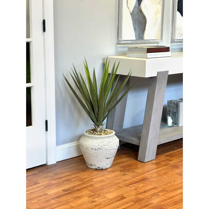 Yucca en pot de pierre avec pierres