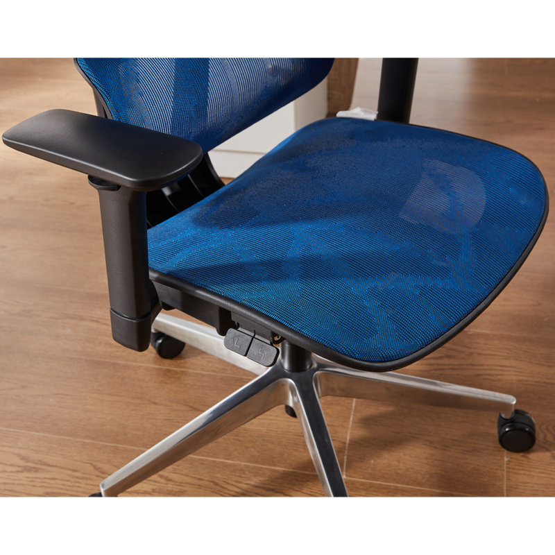 Demani Office Chair with Headrest
