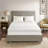 Mattress Topper-18788874-18788916