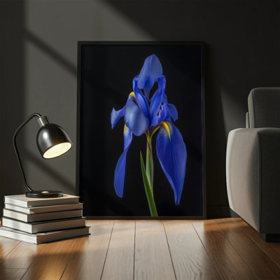 Norvin 1 Piece Wall Art