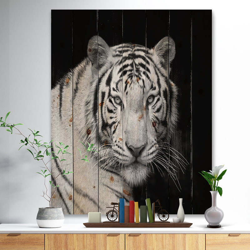 Staring Bengal White Tiger - reproduction de photo sur toile, H 20 po x l 15 po x P 0,78 po, Bois