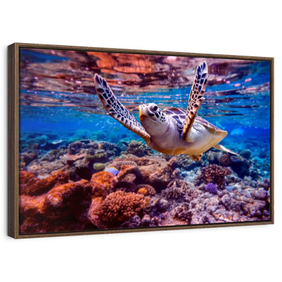 Tortue marine au-dessus d'un récif de corail