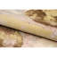Hand Knotted Area Rug in Beige/Gold-1854751839
