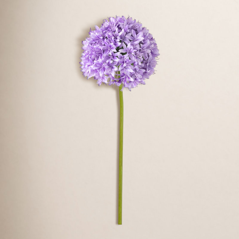 Allium Arrangement