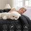 Insert de couette en duvet synthétique à motif de carrés - noir, édredon toutes saisons-101518298-101820269