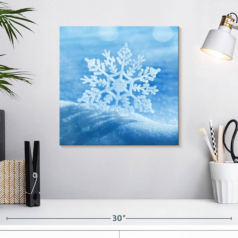 Flocon de neige d'hiver Alvord