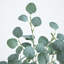 5 pi Eucalyptus artificiel éclairé avec 300 lumières DEL blanc chaud