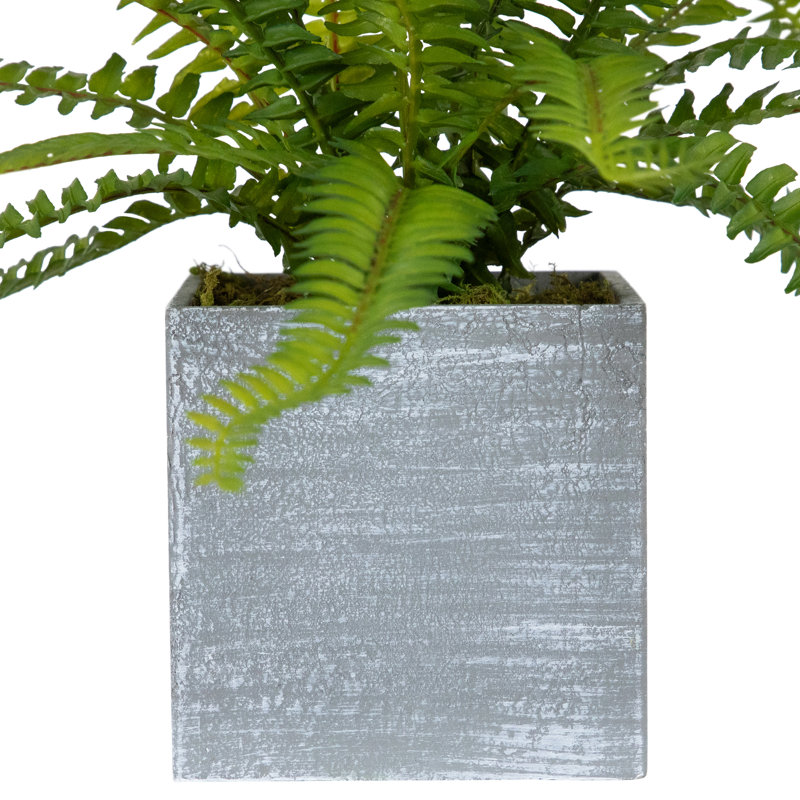Pot à mâcher en papier 13 po