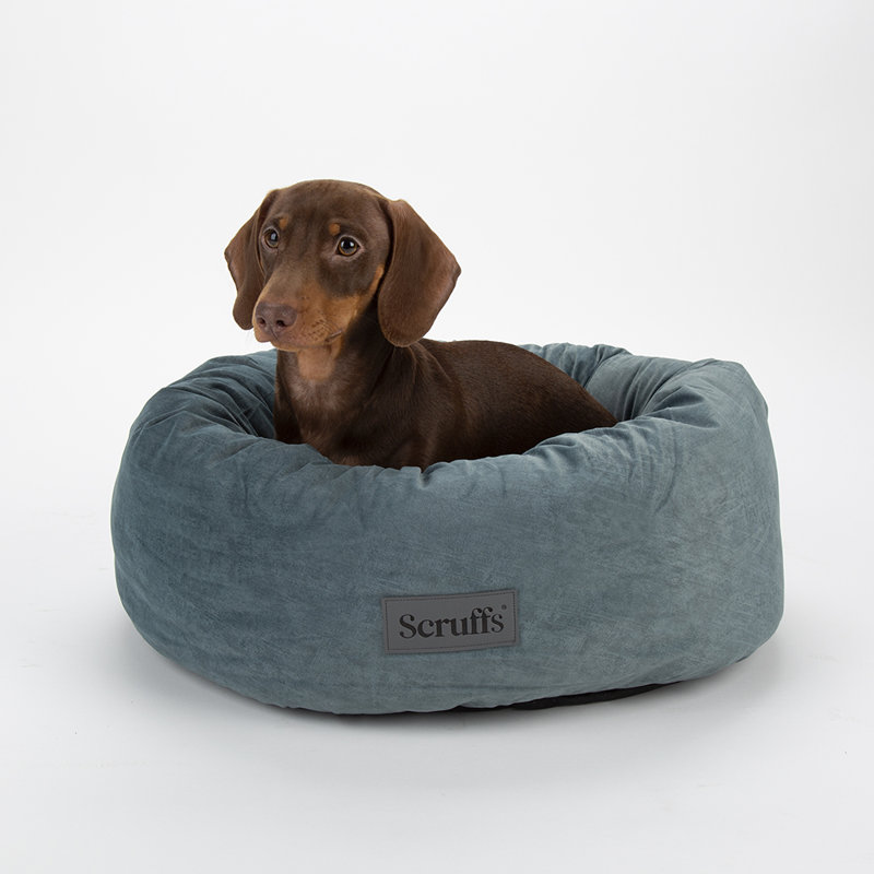 Polyester Pet Bed, Medium (12-18kg), Teal