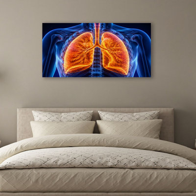 Canvas Wall Art Human Respiratory System Wall Decor for Living Room Bathroom Bedroom Office 20"H x 40"W Art Paintings, Ready to Hang