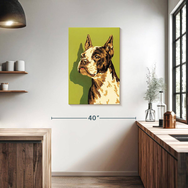 Boston-terrier, H 36 po x l 24 po