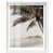 White Frame