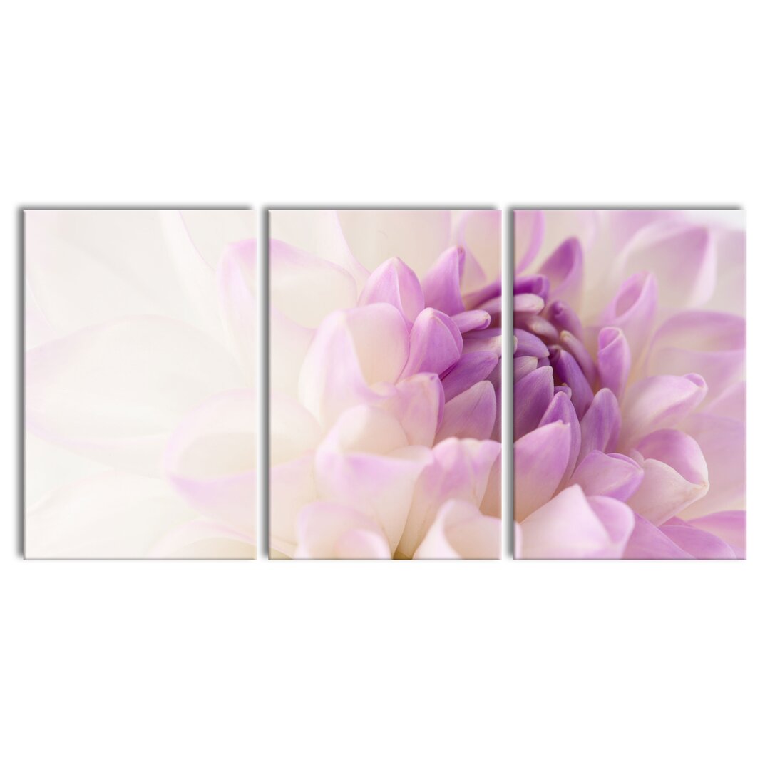 3-tlg. Leinwandbilder-Set Fabulous Purple White Flower