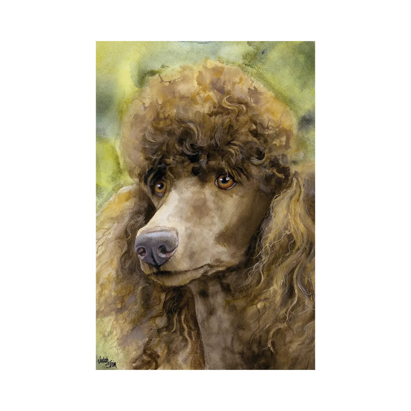 Truffle Face - Standard Poodle by Judith Stein - Wrapped Canvas Gallery-Wrapped Canvas Giclée, 30.48cm H x 20.32cm W