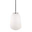 Luminaire suspendu DEL 7 po Domalapalli - Chrome poli-120725595