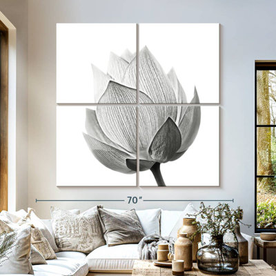 Lotus en herbe