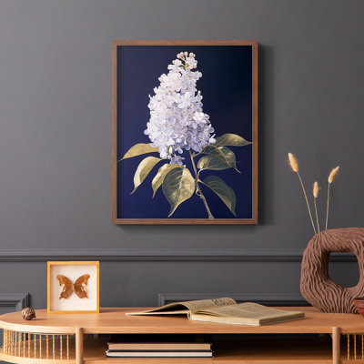 Série FLORAL CLxxxviii - reproduction encadrée de qualité supérieure - prête à être accrochée - aucun clou requis