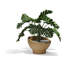 Jardinière Luna-124066409-124066412