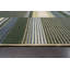 Chaniqua Striped Area Rug-1595799352
