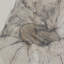 Espera by Paul Meyer-1390214580-1390214577