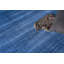 Martelli Area Rug in Navy/Ivory-544541353