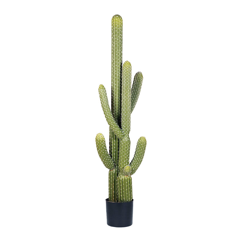 145cm Faux Cactus Plant in Pot