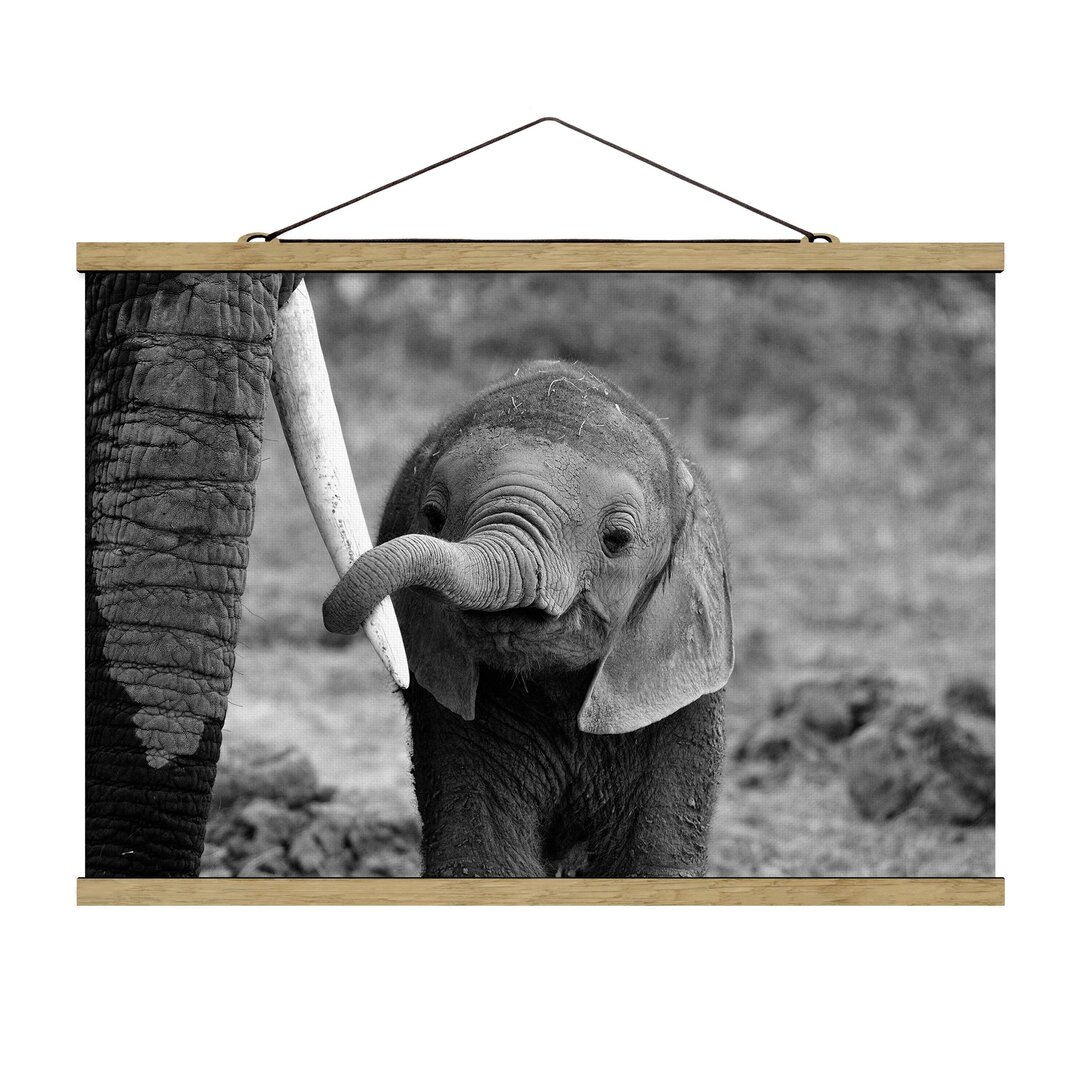 Stoffbild Baby Elephant