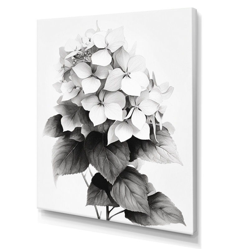 Hortensia gris et blanc gris sur toile, H 32 po x l 24 po x P 1 po, Toile tendue